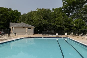 A swimming pool surrounded by trees and a small building.